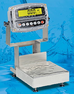 Cardinal Admiral Bench Scale