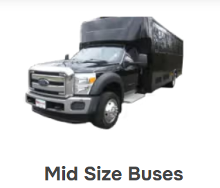 Mid Size Buses