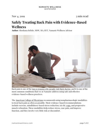 Safely Treating Back Pain with Evidence-Based Wellness