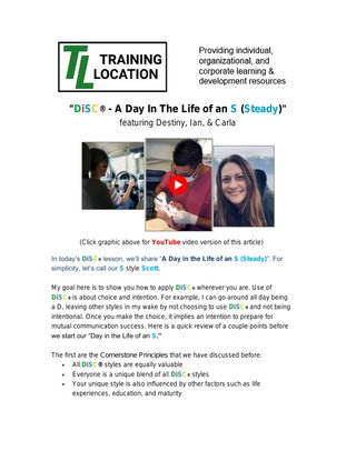 DiSC® - A Day In The Life of an S (Steady)