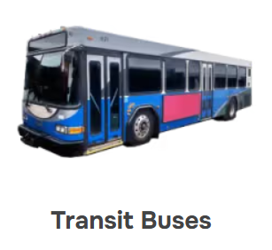 Transit Buses