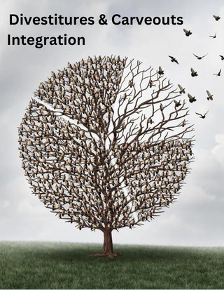 Divestitures and Carveouts eBook - Integration