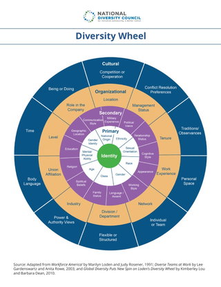 Diversity Wheel (Dimensions of Diversity)
