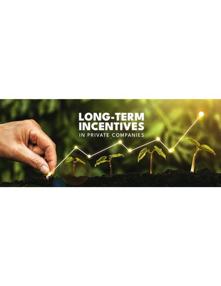 Long-Term Incentives in Private Companies