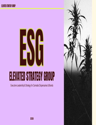 Elevated Strategy Group — Services Overview
