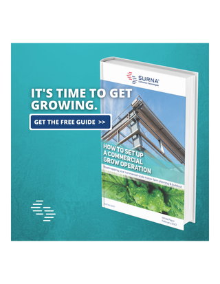 [White Paper] Hot to Set Up a Commercial Grow Operation