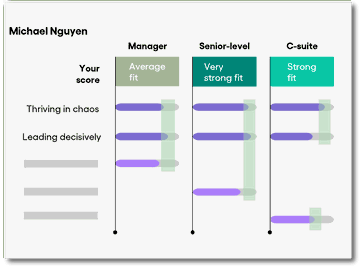 SuccessFinder Ladder of Leadership