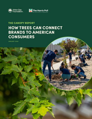 The Canopy Report: How Trees Can Connect Brands to American Consumers
