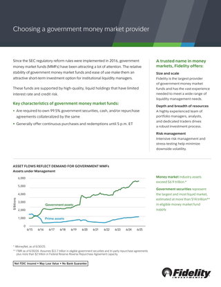 Choosing a government money market provider 