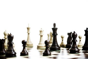 Board of Director Advisory Services