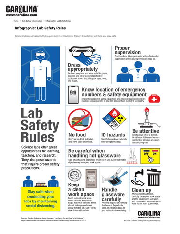 Lab Safety Rules
