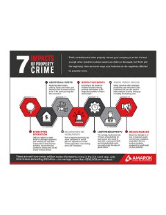 7 Impacts of Property Crime