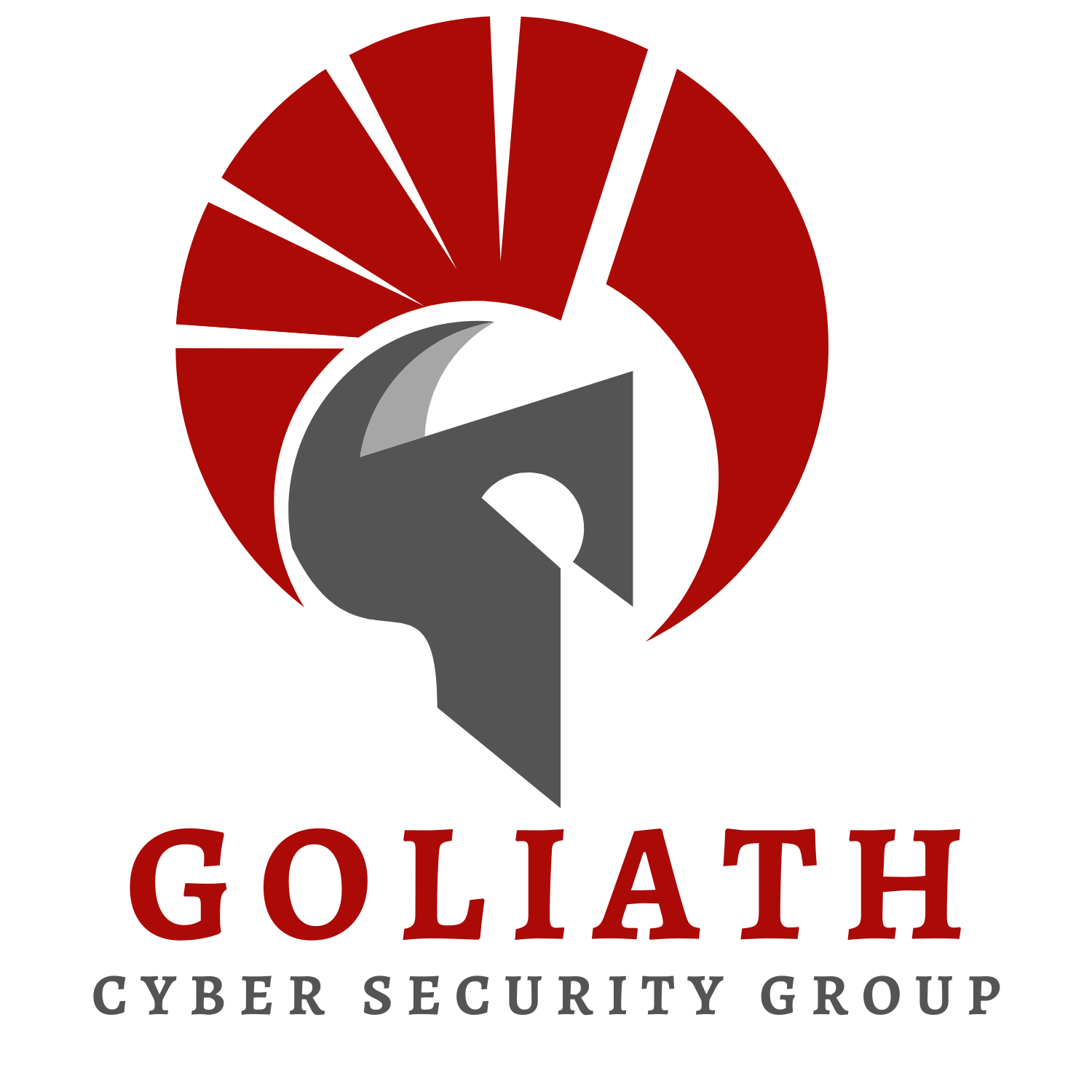 Goliath Professional Services