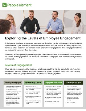 Exploring Employee Engagement Levels 