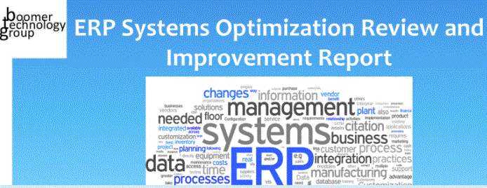 ERP Systems Optimization Review and Improvement Report
