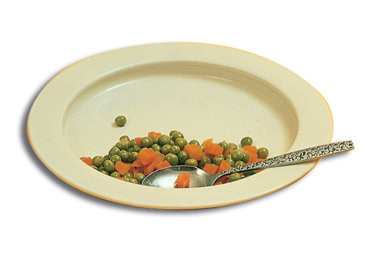 Non Skid Inner Lip Plate