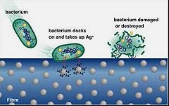 Antimicrobial textiles