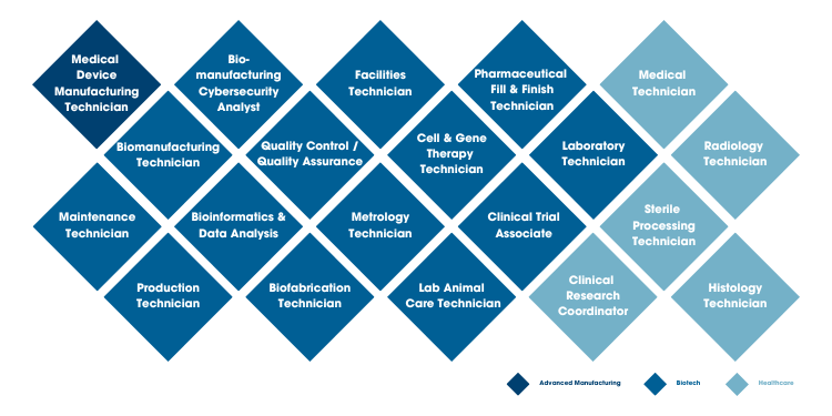 Apprenti Life Sciences Apprenticeship Program