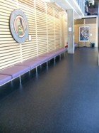 DINOFLEX® - Evolution Commercial Flooring