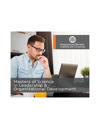 MS Leadership and Organizational Consulting Factsheet UT Dallas