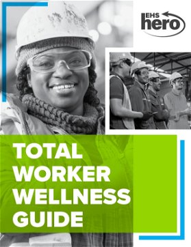 Total Worker Wellness: Advancing Physical and Mental Well-being in the Workplace