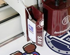 AVS Vision Registration System