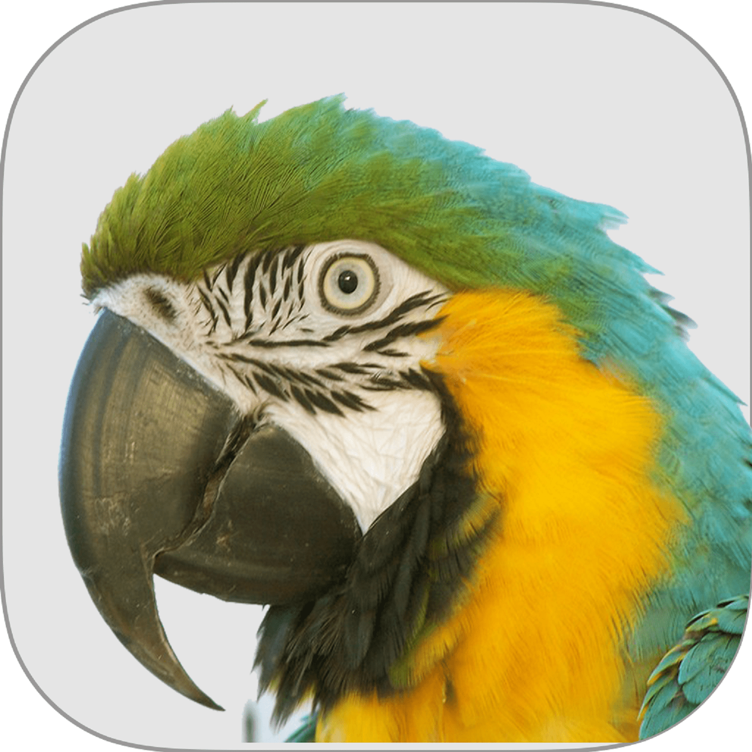Macaw CRM