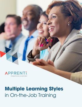 Multiple Learning Styles in On-the-Job Training