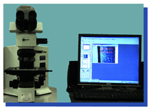 Metallurgical Testing