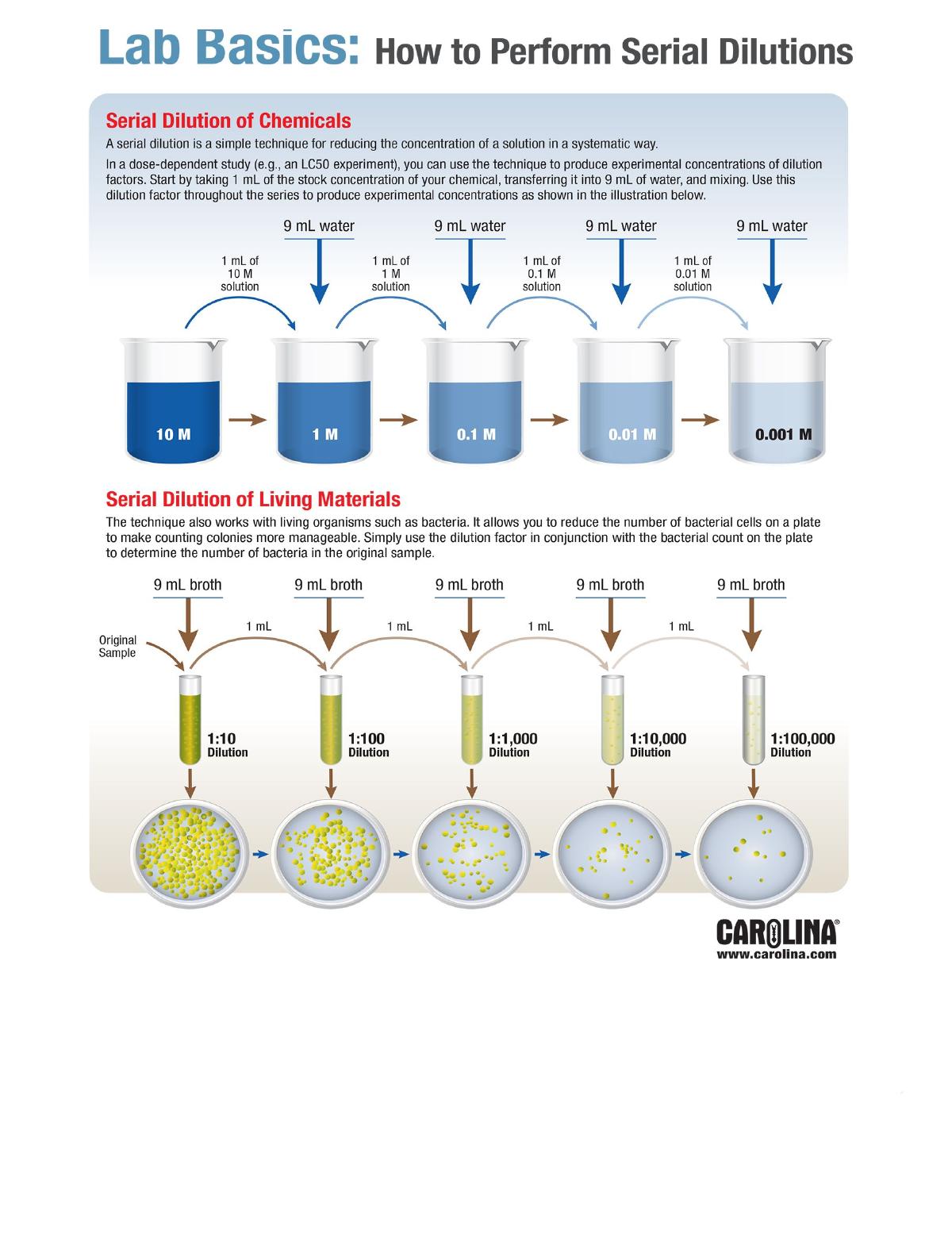 Lab Basics: How to Perform Serial Dilutions