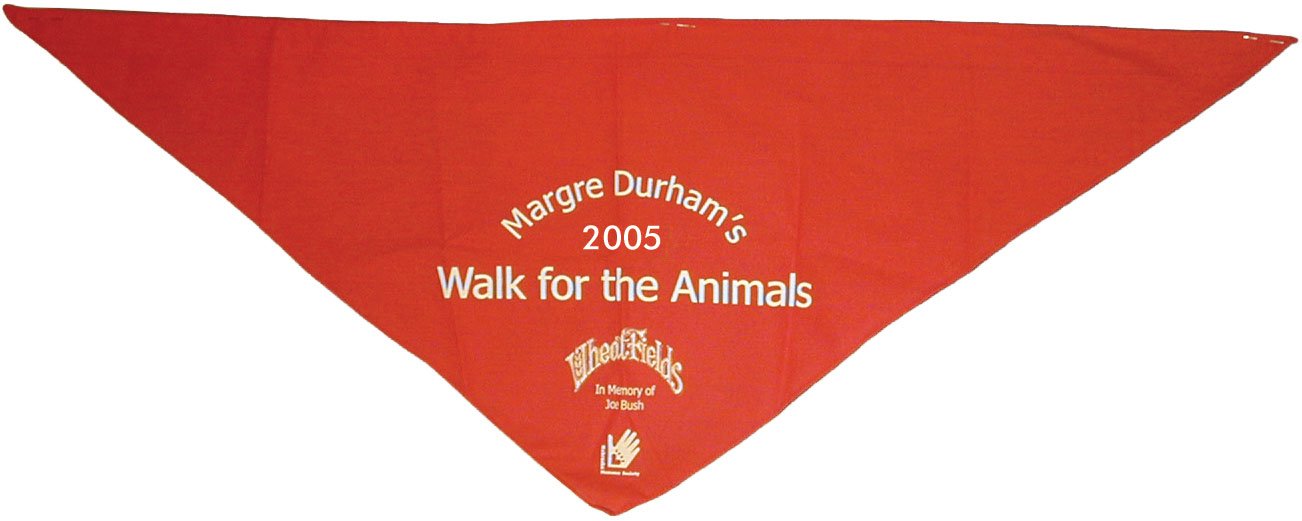 BA110 Large Triangle Bandana