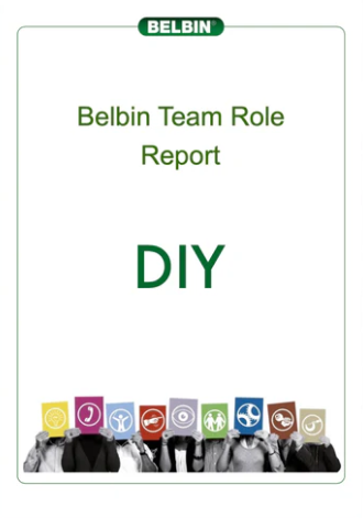 Individual Belbin Report (DIY)