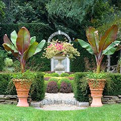 Ornamental Collection Planters