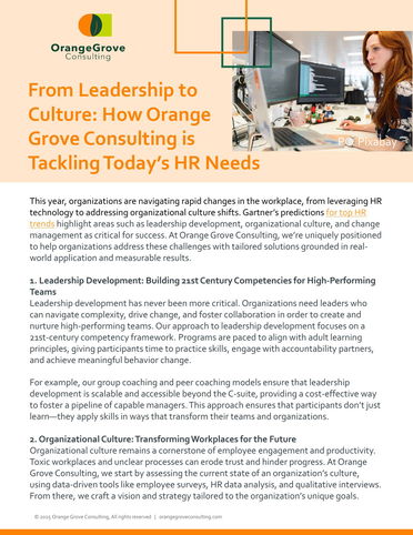 From Leadership to Culture: How Orange Grove Consulting is Tackling Today’s HR Needs